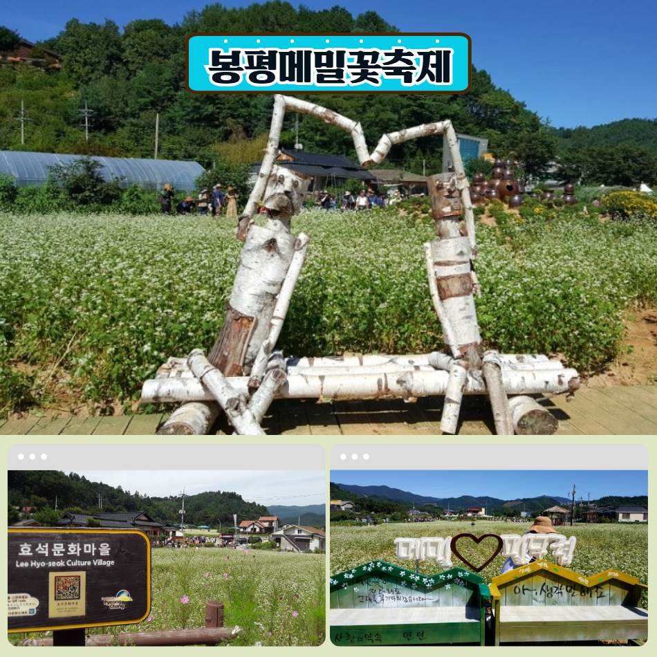 [가을 기차여행] 봉평 효석문학제 & 메밀꽃필무렵 & 오대산 월정사 전나무숲길 - 상세 이미지 3