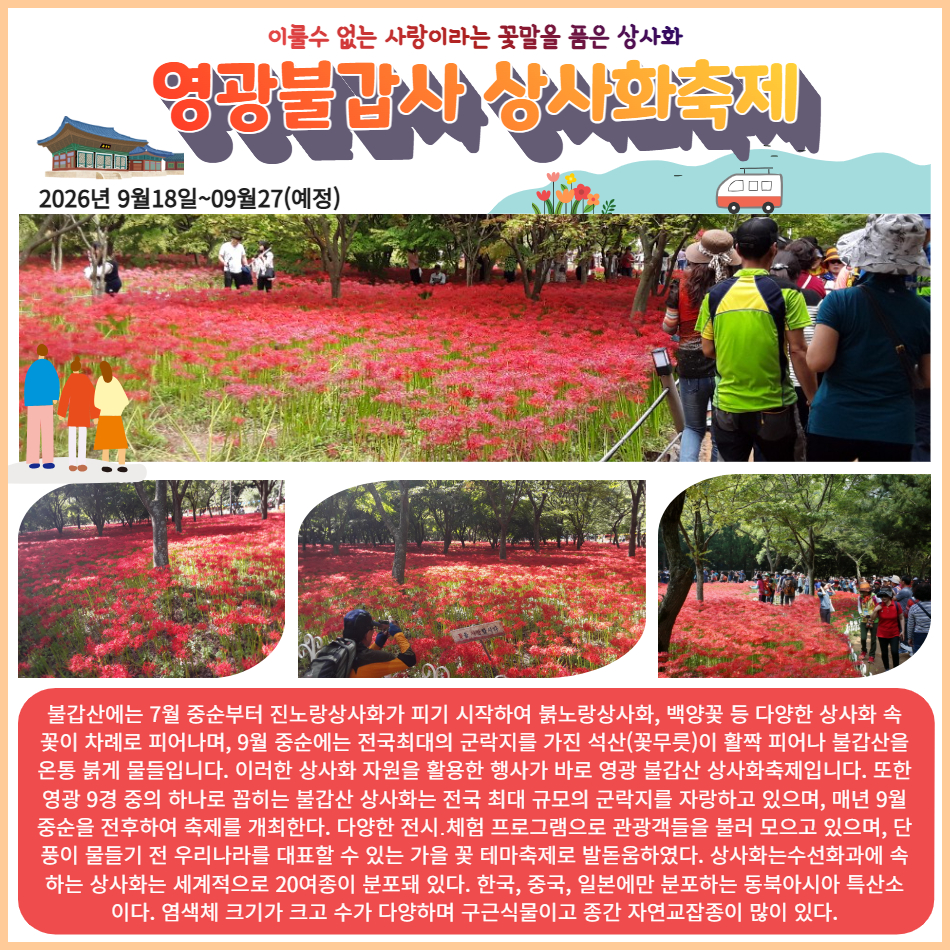 [가을버스여행] 불갑사 상사화 축제&고창 선운사&영광 굴비정식 - 상세 이미지 5
