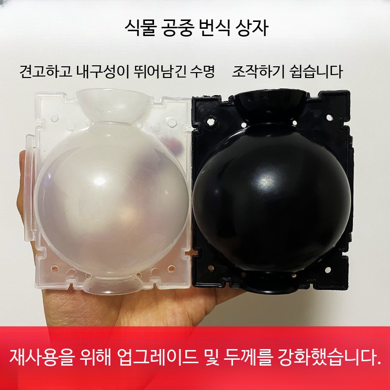 취목볼 루팅볼 식물 번식 뿌리 투명 배양 100개 접목 - 상세 이미지 2