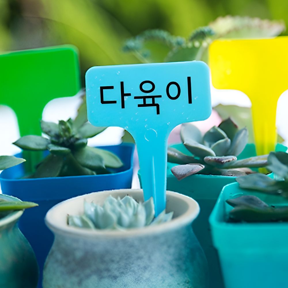 식물네임택 화분이름표 화분팻말 픽 라벨 꽃이름표 10P - 상세 이미지 3