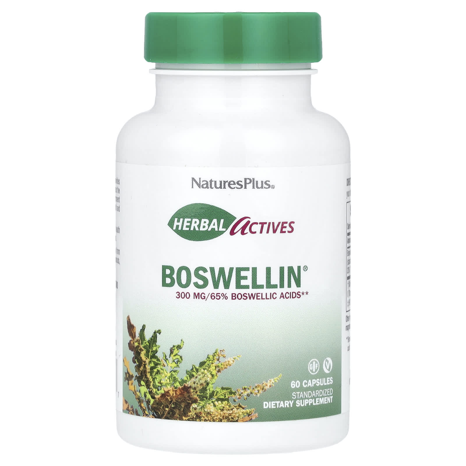 네이처스플러스 보스웰리아 Boswellin 60캡슐, 2개 이미지 6