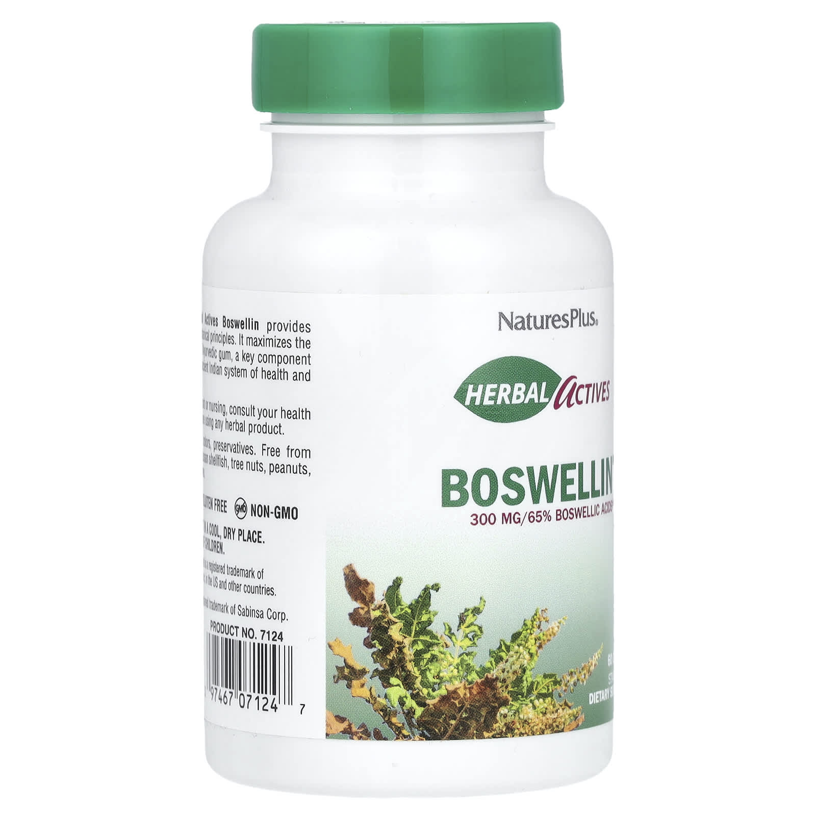 네이처스플러스 보스웰리아 Boswellin 60캡슐, 2개 이미지 7