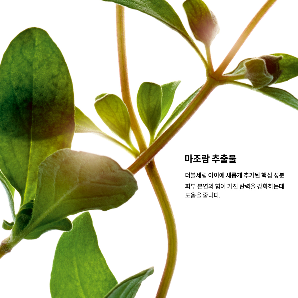 [LIVE한정] 클라랑스 더블세럼 아이 20ml 이미지 8