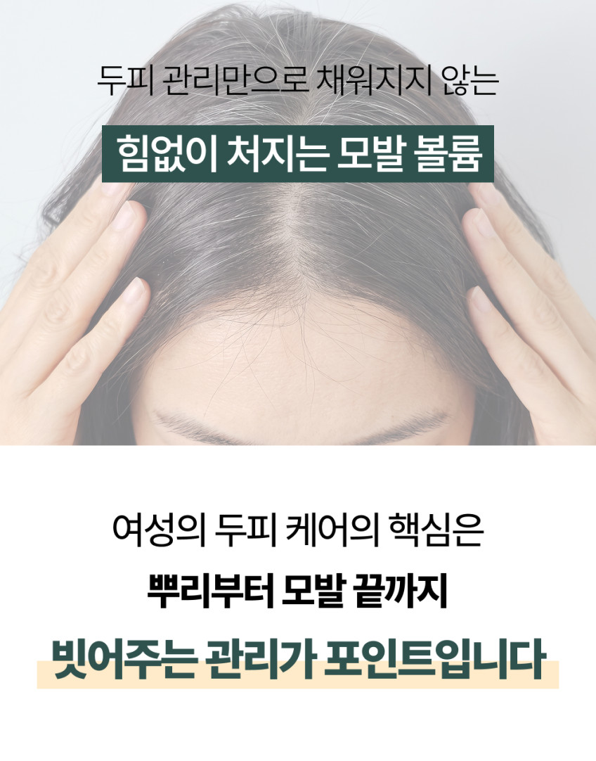 펄케어 터치뷰티 두피마사지기 전동 두피관리기 브러쉬 판매처 상세 정보 이미지 4