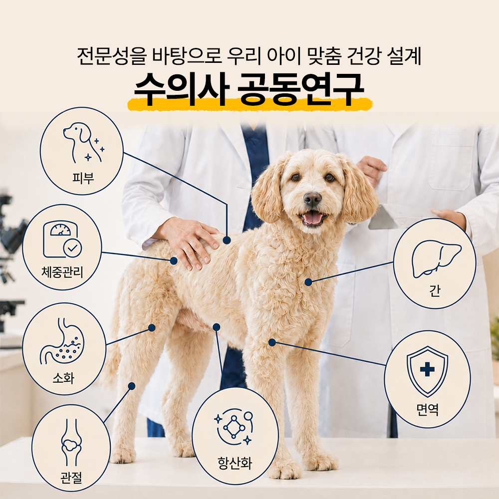 펠스 부스터 강아지 고양이 관절 체중관리 피부 소화 간 영양제 30포, 2개 - 상세 이미지 3