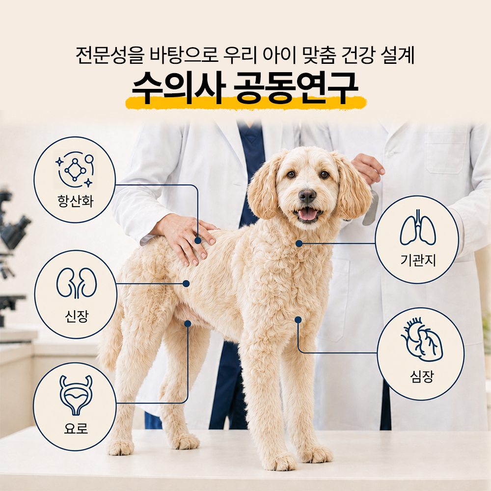 펠스 바이탈 강아지 종합영양제 기관지/심장/신장/요로/면역, 120g, 1개 - 상세 이미지 5