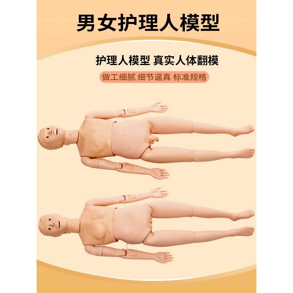 마네킹 실습용 모델 간호 학원 카테터 시뮬레이션 도구 A 남성 - 상세 이미지 2