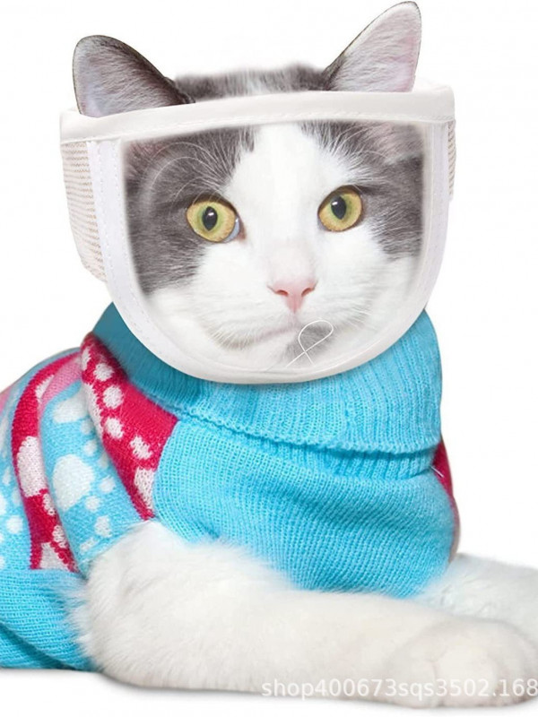 1+1 고양이 투명 샤워 입마개 물림방지 고양이용품 손톱깎이 헤드커버 헬멧 마스크 통풍 목욕 A. 화이트 - 상세 이미지 4