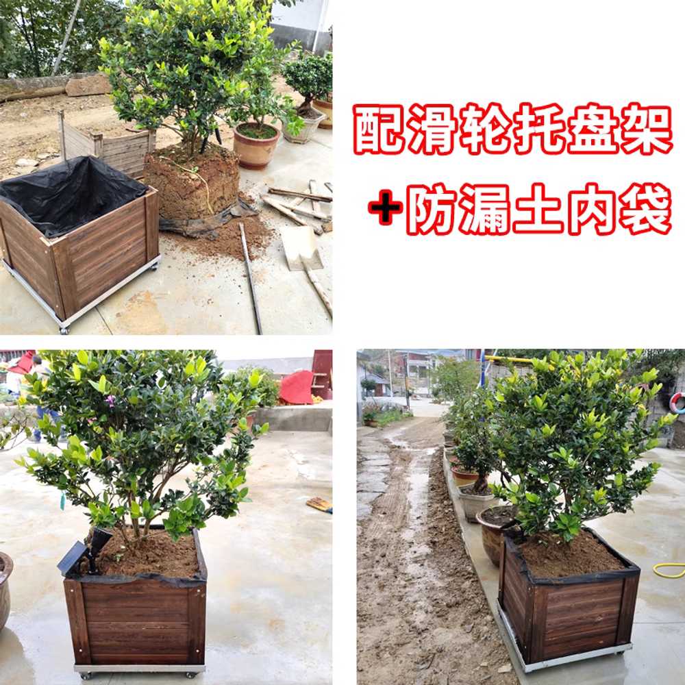 이동식 사각 화분 야외 목재 정원 업소 대형 식물 상자 60x60x60 이미지 6