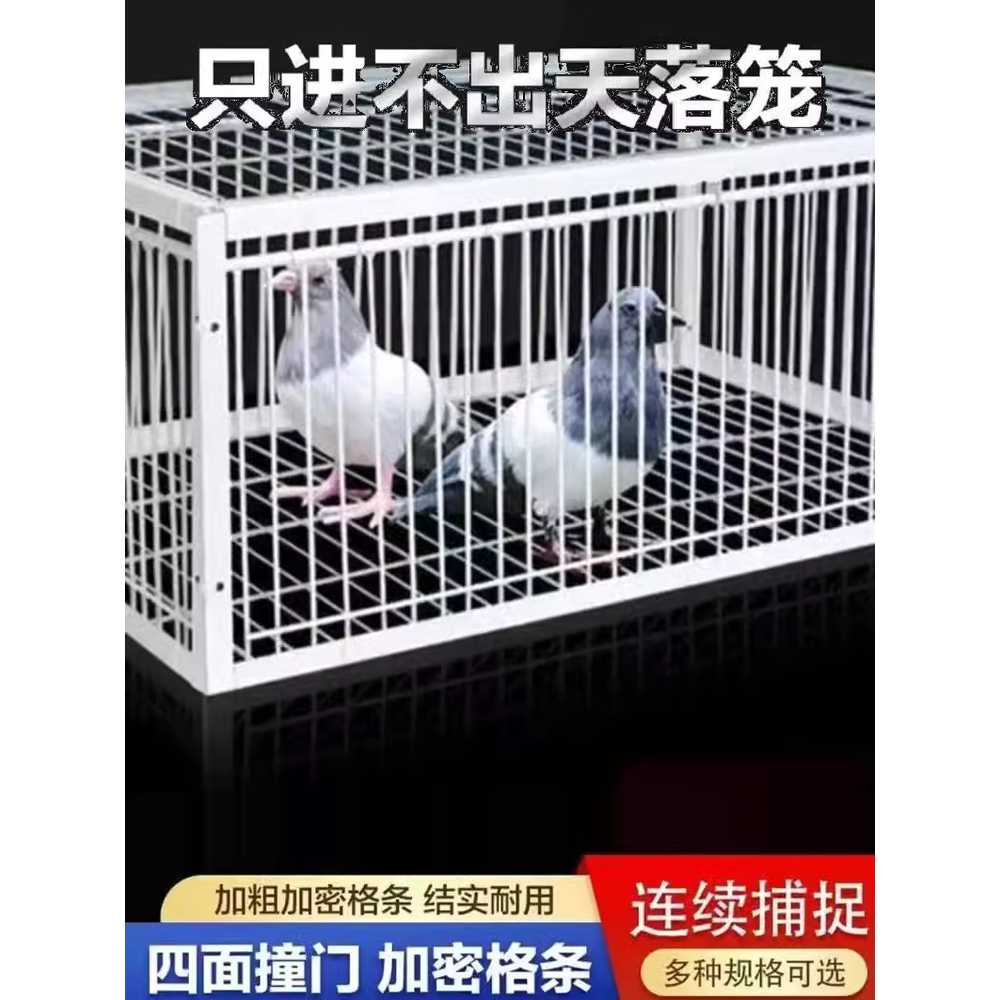 조류 트랩 덫 포획 비둘기 용품 철장 함정 철제 케이지 60x40x26 2개 이미지 6