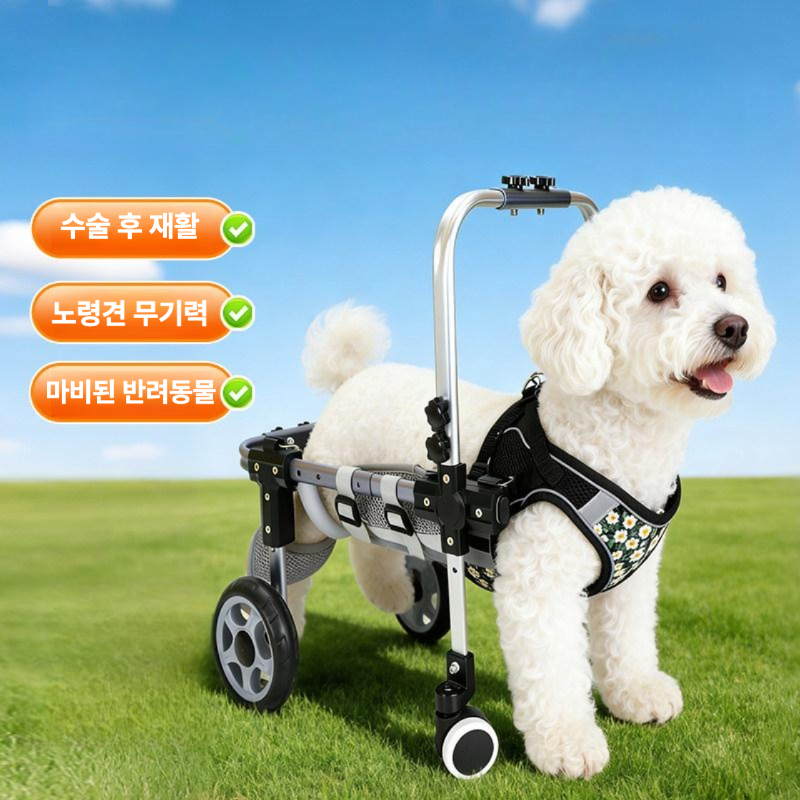강아지 휠체어 보행기 뒷다리 애견 보조기 재활 고양이 대형견 노견 1. XS 2륜 - 상세 이미지 5