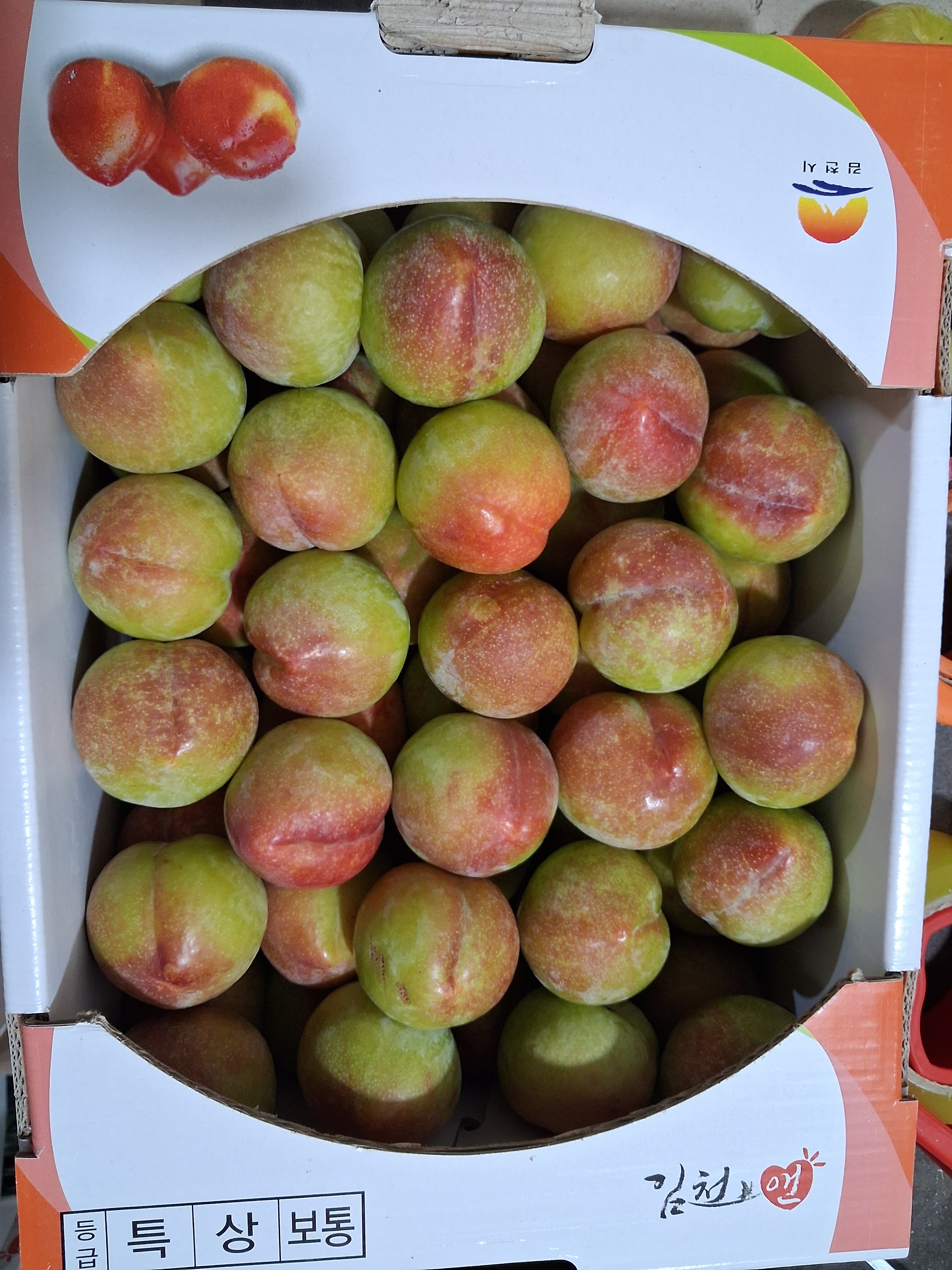한국 1등 햇자두 추희자두 윗집아들네 프리미엄 중과 1kg 2kg 3kg - 상세 이미지 3