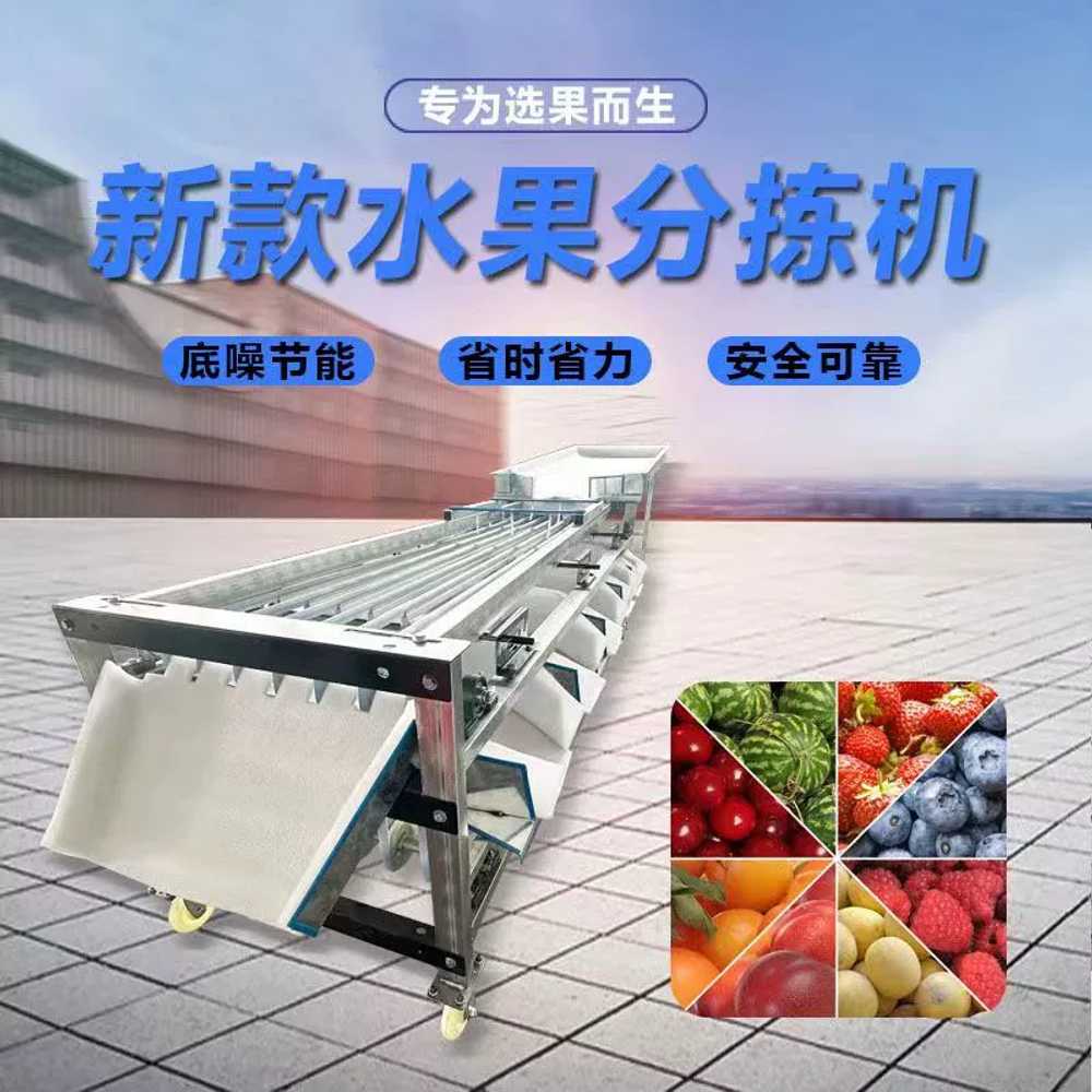 대추 선별기 과일 사과 고구마 호두 분류기 정선기 5트랙 500W - 상세 이미지 3