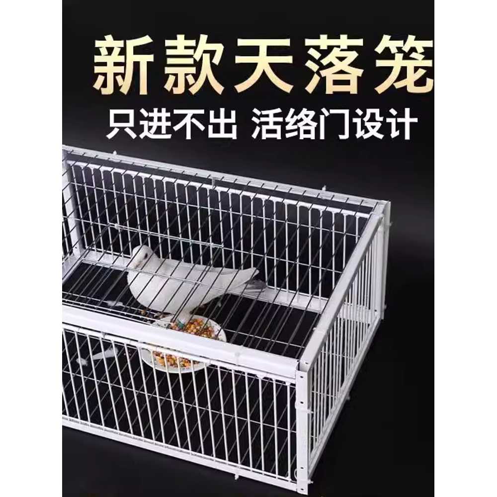 조류 트랩 덫 포획 비둘기 용품 철장 함정 철제 케이지 60x40x26 2개 - 상세 이미지 5