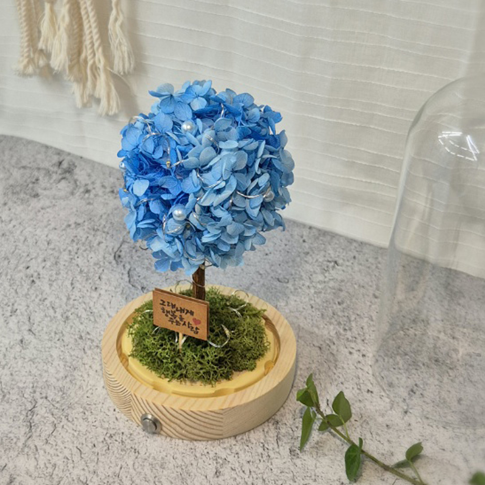 상품 이미지 7