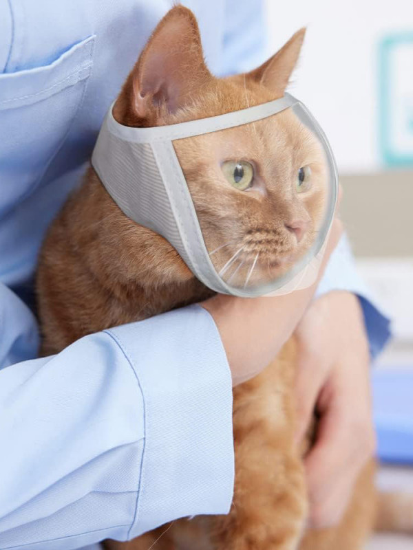 1+1 고양이 투명 샤워 입마개 물림방지 고양이용품 손톱깎이 헤드커버 헬멧 마스크 통풍 목욕 A. 화이트 - 상세 이미지 2