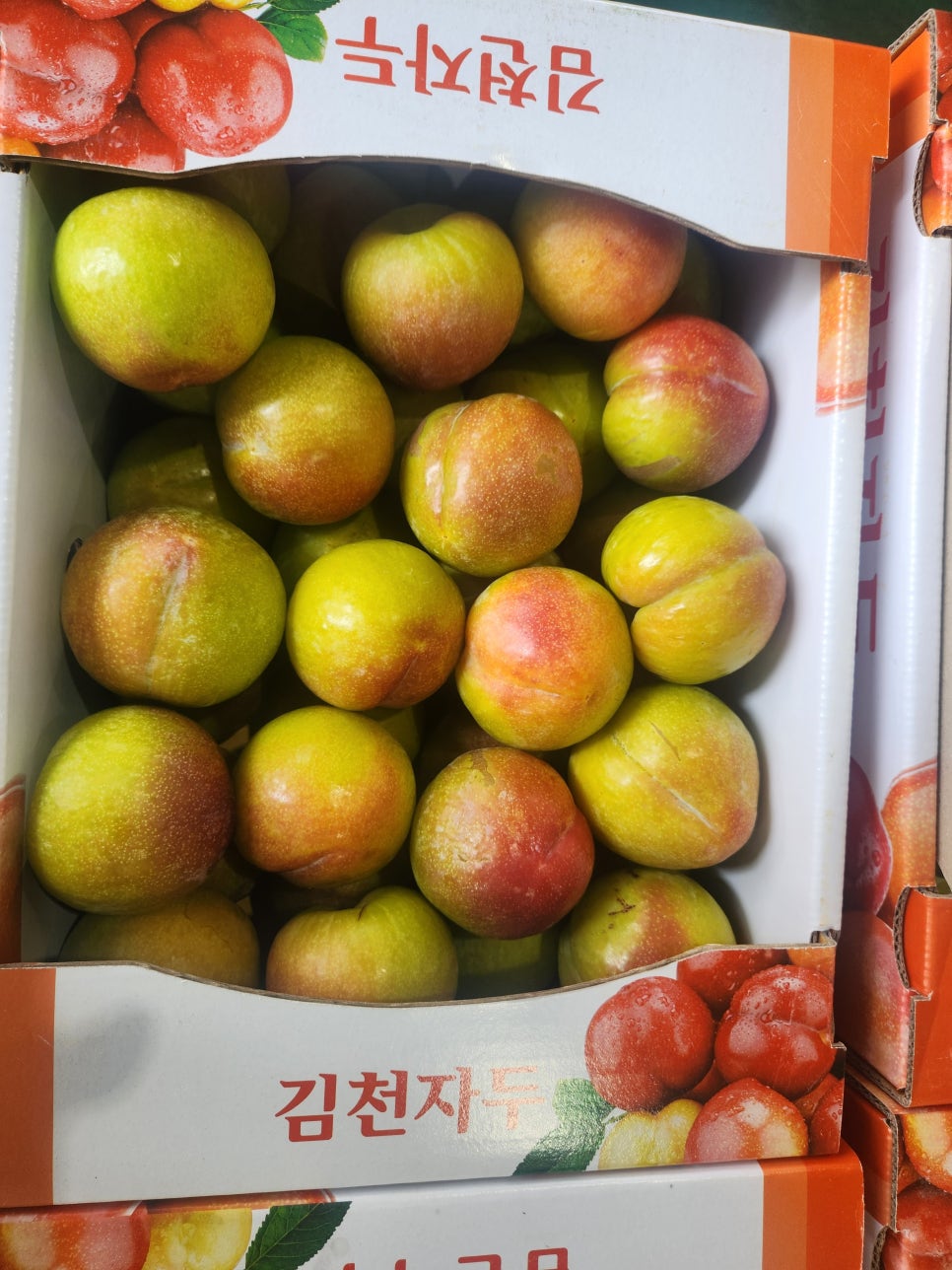 한국 1등 햇자두 추희자두 윗집아들네 프리미엄 중과 1kg 2kg 3kg - 상세 이미지 5