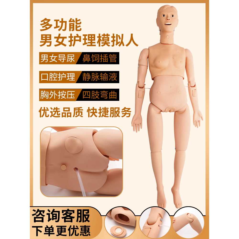 마네킹 실습용 모델 간호 학원 카테터 시뮬레이션 도구 A 남성 - 상세 이미지 3