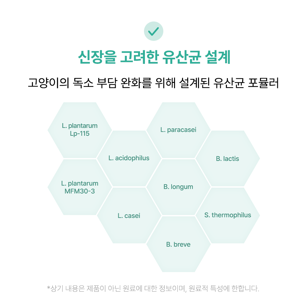 신부전 고양이 유산균 신장 영양제 요독소 IBD 관리 프로바이오틱스 60캡슐, 1개 - 상세 이미지 2