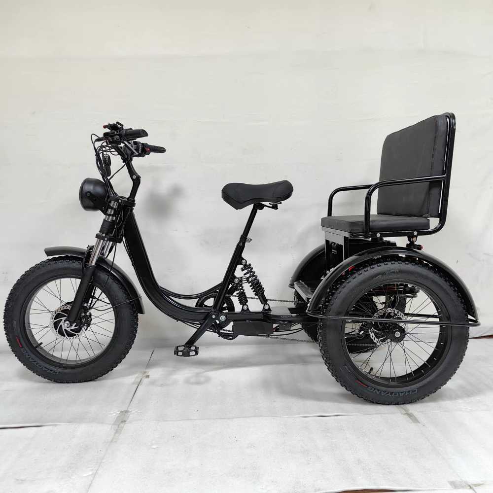 삼발자전거 삼륜 짐 화물칸 성인 어르신 효도선물 - 상세 이미지 4