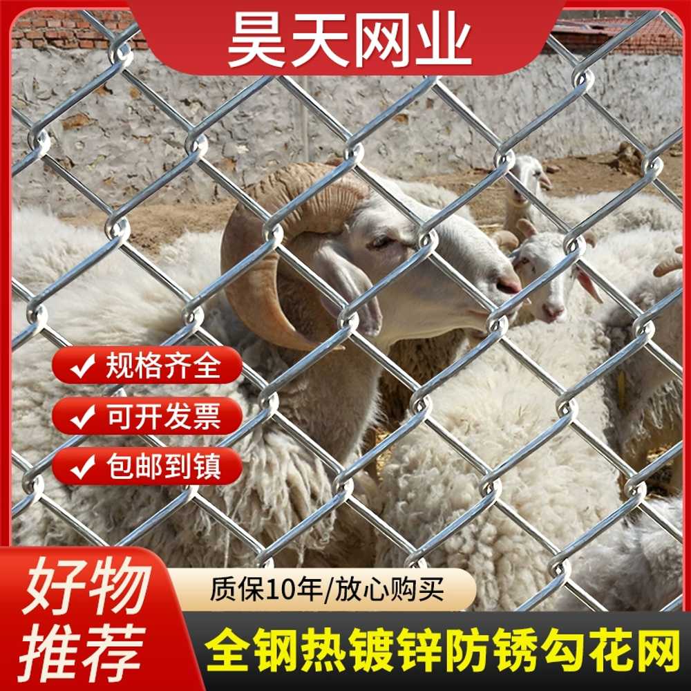철망 그물망 고라니 울타리 양계장 메쉬 닭장 철조망 - 상세 이미지 4