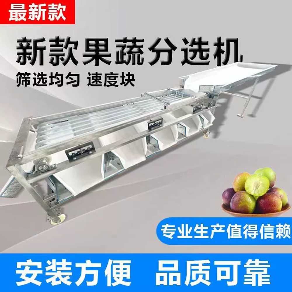 대추 선별기 과일 사과 고구마 호두 분류기 정선기 5트랙 500W - 상세 이미지 5
