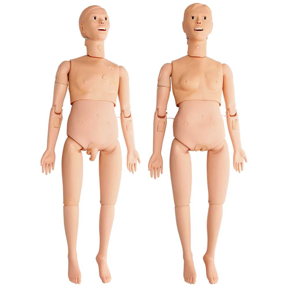 마네킹 실습용 모델 간호 학원 카테터 시뮬레이션 도구 A 남성 이미지 6