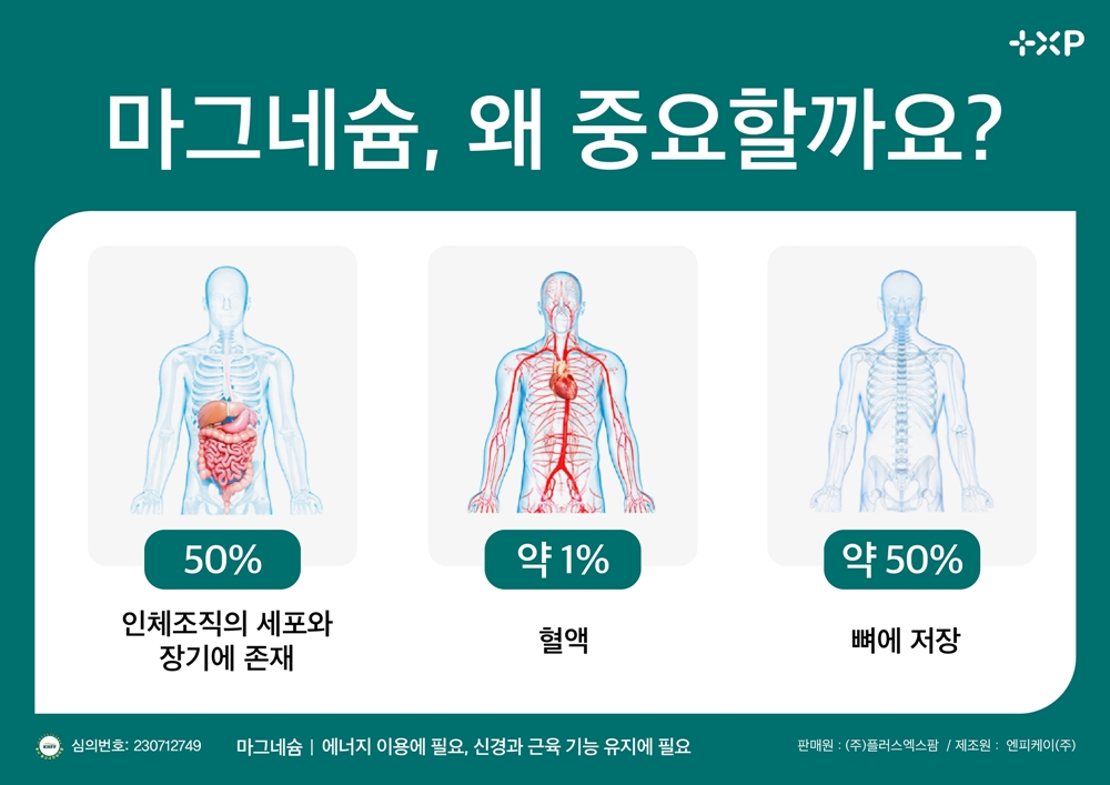 유기염마그네슘 다리에쥐날때 마그네슘영양제 쥐날때 3개 - 상세 이미지 2