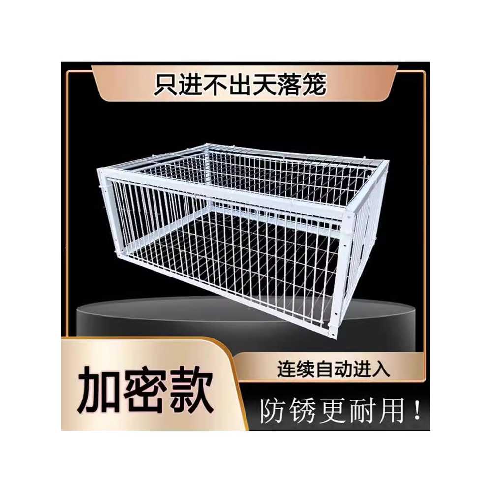 조류 트랩 덫 포획 비둘기 용품 철장 함정 철제 케이지 60x40x26 2개 - 상세 이미지 2