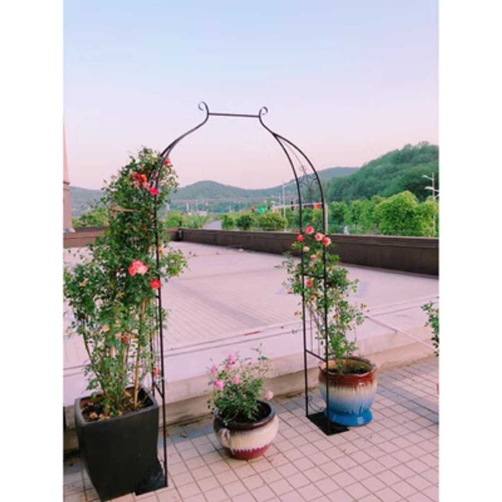 식물 넝쿨 지지대 발코니 정원 아치형 꽃꽂이 등반대 80cm - 상세 이미지 3