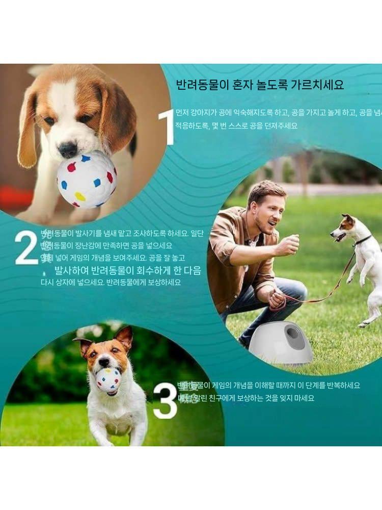 강아지 공발사기 자동 볼런처 충전식 펫토이 장난감 오렌지 이미지 6