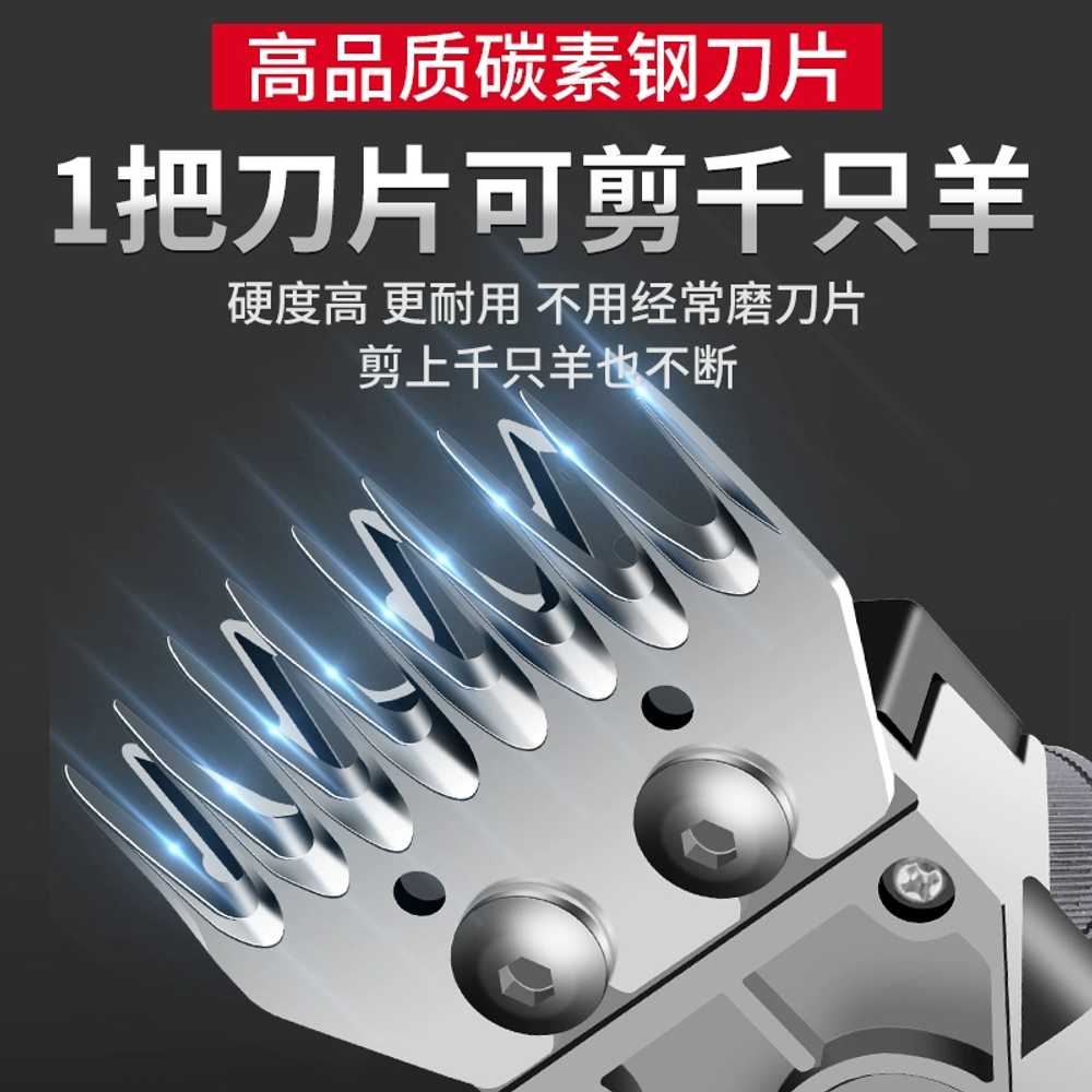 충전식 바리깡 양 염소 말 대형견 털 이발 가위 산업용 단일 - 상세 이미지 4