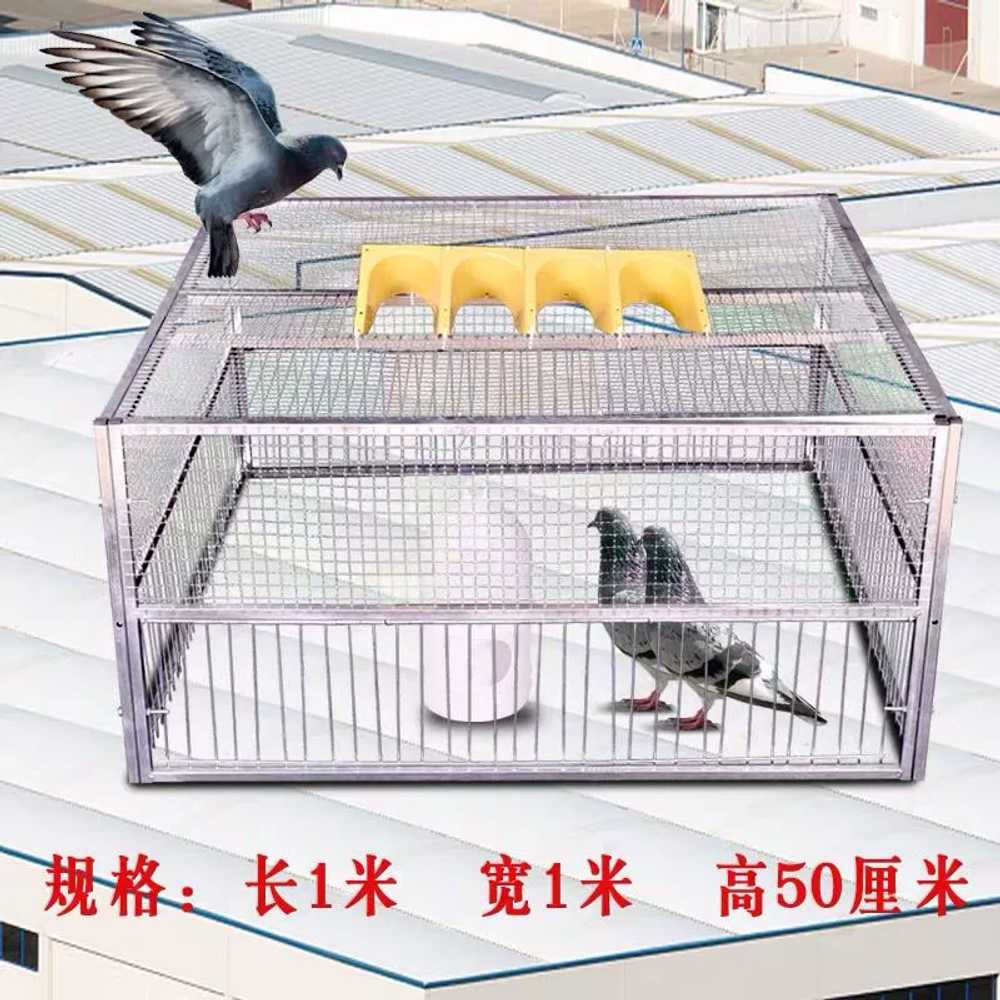 포획틀 농작물 보호 야생 비둘기 조류 새덫 새트랩 60x50 - 상세 이미지 4