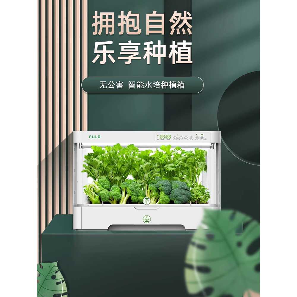 가정용 수경 재배기 무토양 야채 채소 새싹 키우는 상자 - 상세 이미지 2