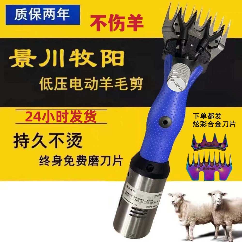 휴대용 양모클리퍼 저전압 목장 대형견 이발 바리깡 칼날 5쌍 - 상세 이미지 3