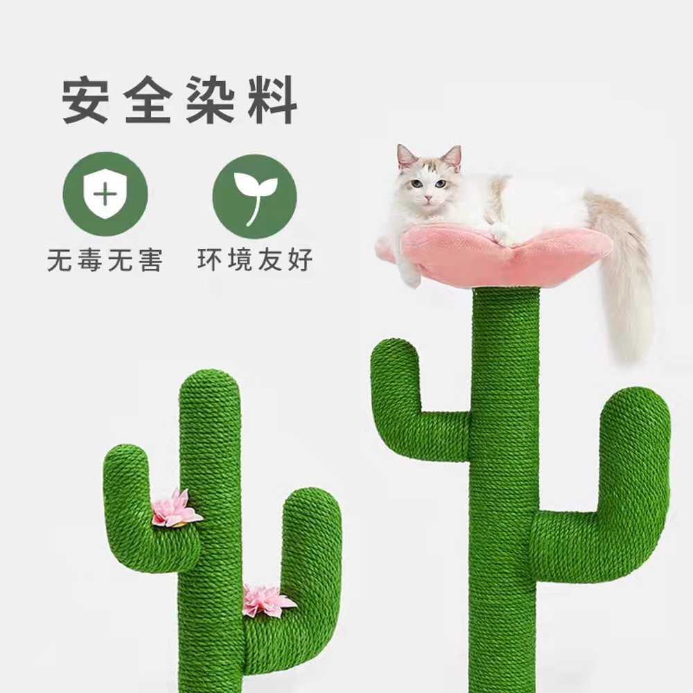 고양이 선인장 스크래쳐 가정용 반려묘 발톱 장난감 작은꽃 - 상세 이미지 4