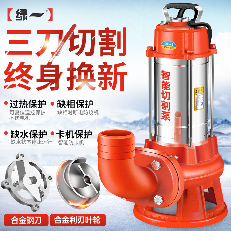 슬러지펌프 정화조 진흙 하수 축사 폐수 펌프 800W 1.5인치 - 상세 이미지 2