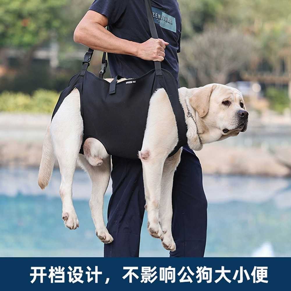 노령견 워킹 보조 스트랩 전신 하네스 산책 가슴줄 S - 상세 이미지 5