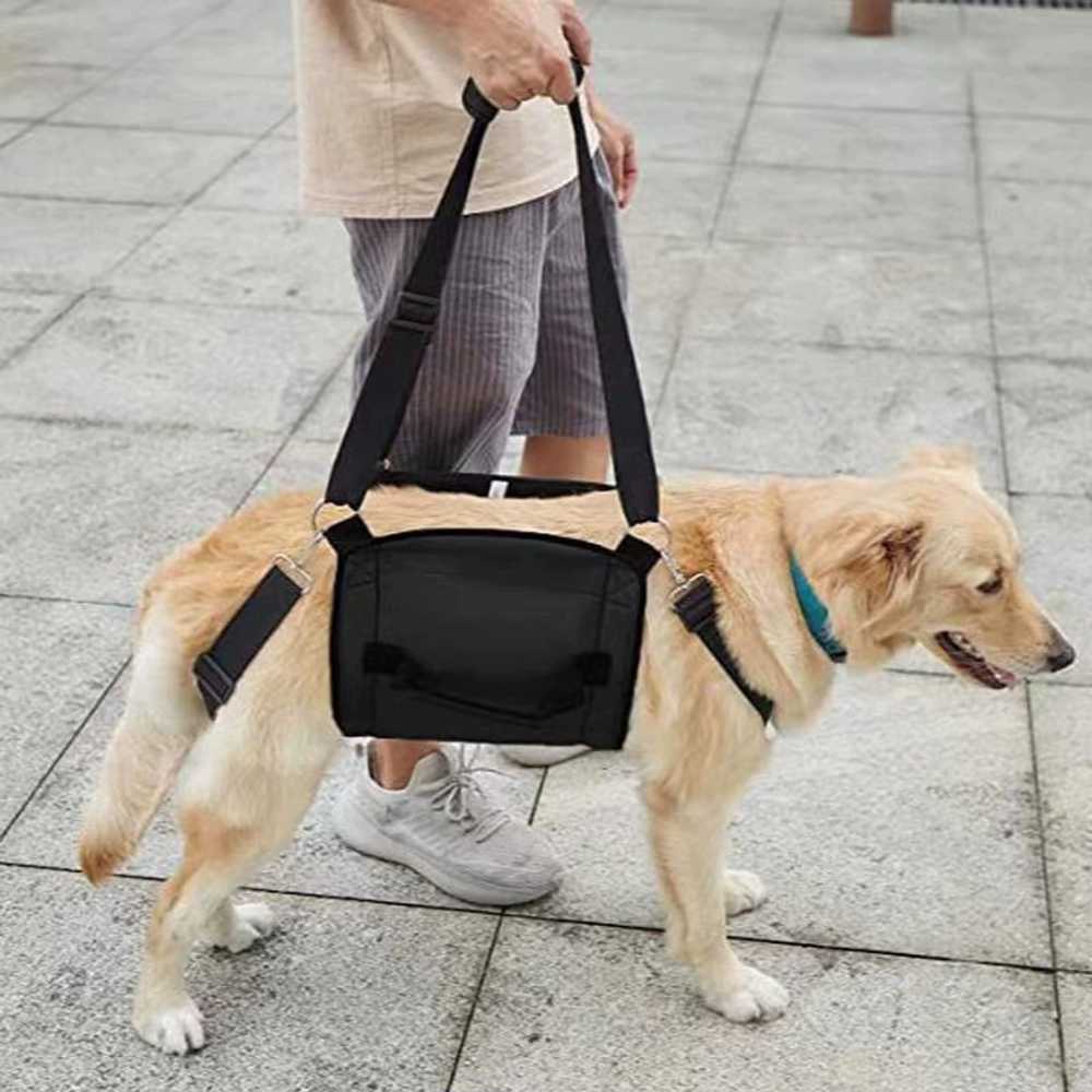 강아지휠체어 허리보호대 대형견용 고양이 보행보조기 S - 상세 이미지 3