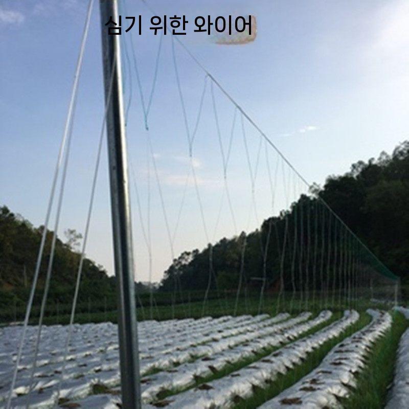농업용 강선 와이어 고강도 온실 포도밭 농자재 과수원 블랙 2.2mm 약 450m - 상세 이미지 3