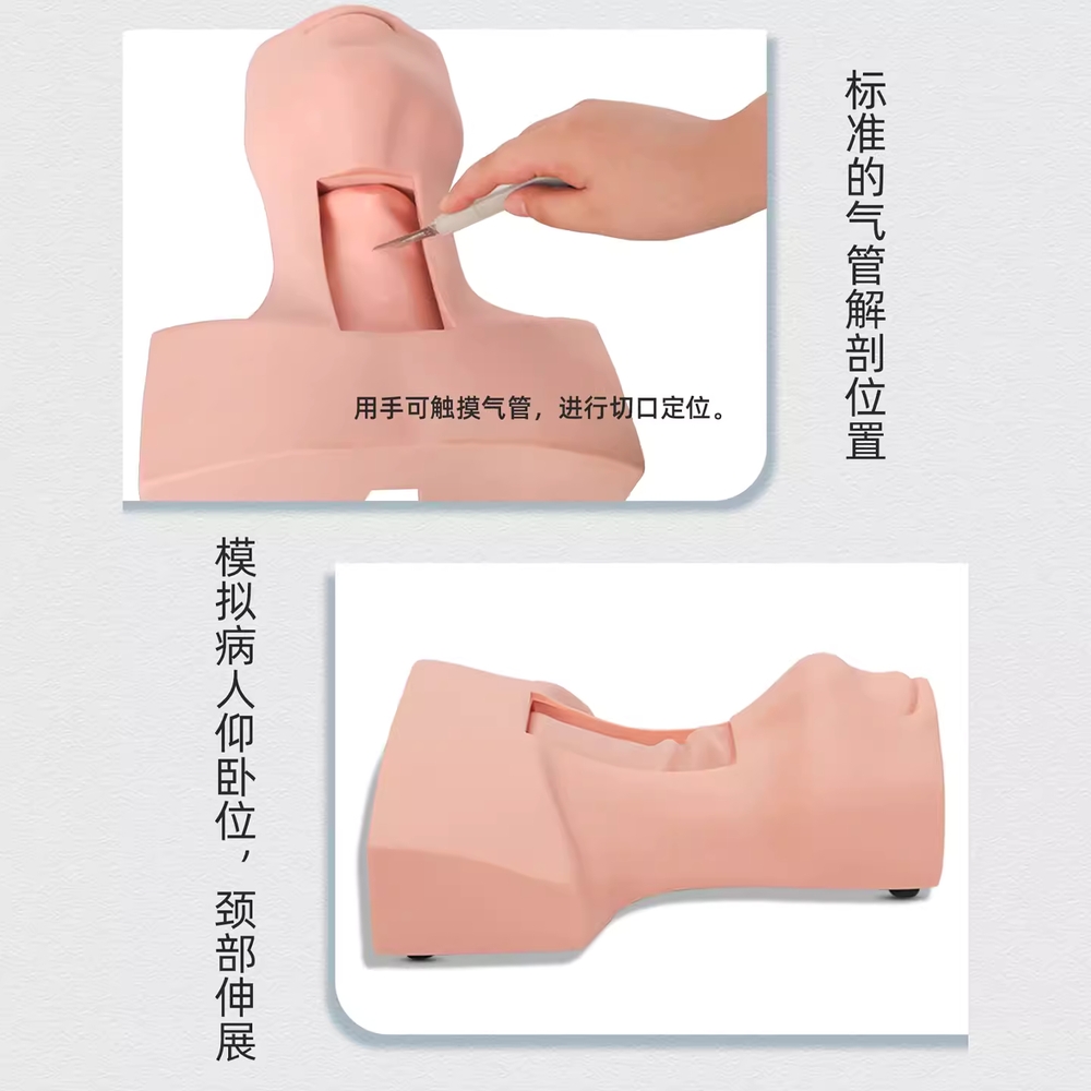간호 실습 비강위관 가래 기관 용 훈련 산소관 소품 모형 - 상세 이미지 3