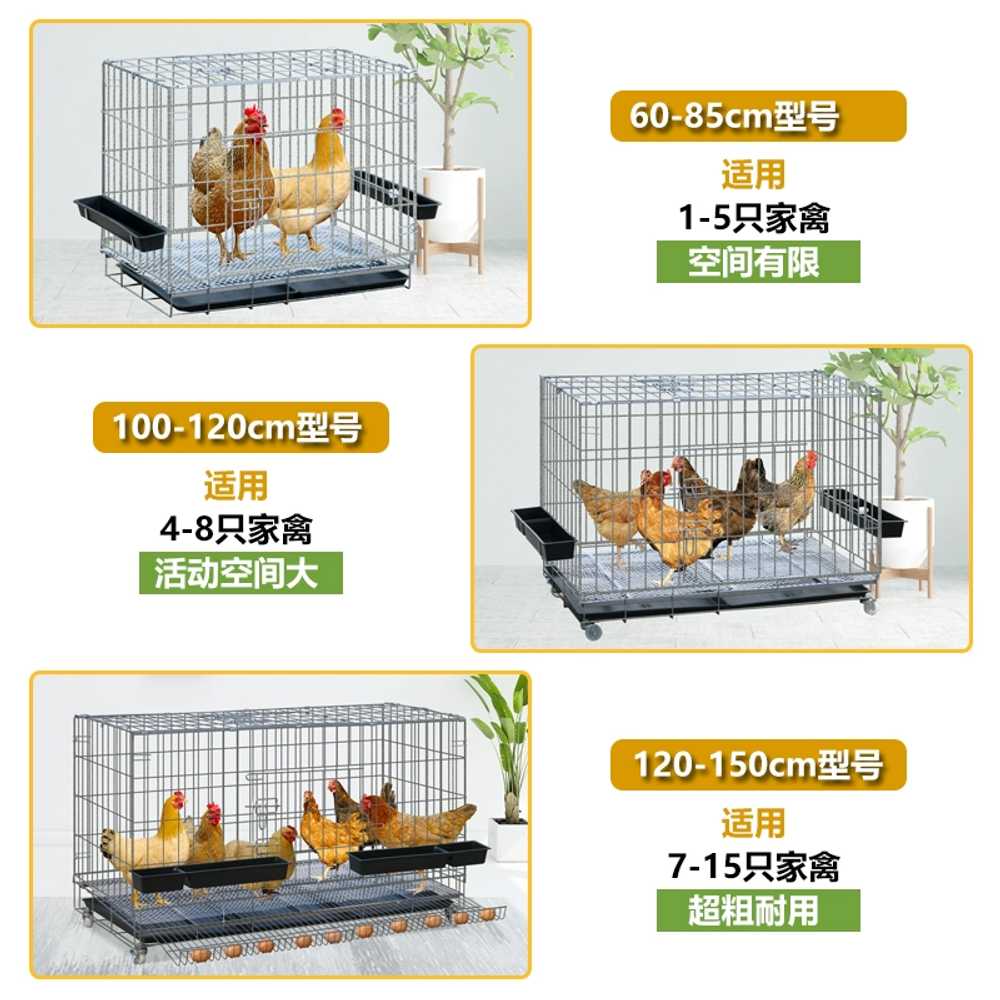 가정용 닭장 닭 산란계 새장 철망 야외 병아리 사육장 패키지 1 이미지 6