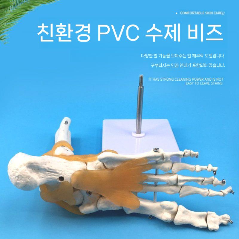 발목 모형 인체 인대 발뼈 해부학 교육용 골격 발관절 관절 - 상세 이미지 4