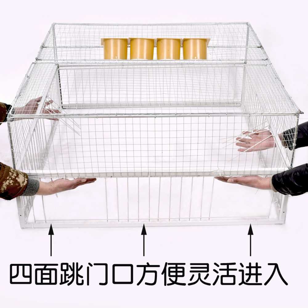 포획틀 농작물 보호 야생 비둘기 조류 새덫 새트랩 60x50 이미지 6