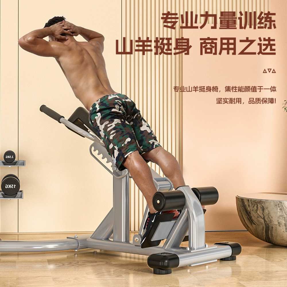 피트니스 로만헬스의자 등 옆구리 운동 로망 싯업벤치 - 상세 이미지 4
