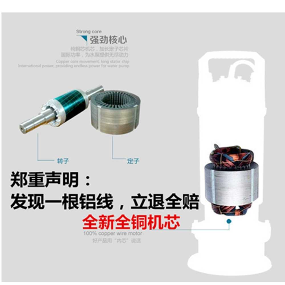 수중 펌프 1마력 배수 침수 물난리 하수 물펌프 750W 2인치 8m - 상세 이미지 4