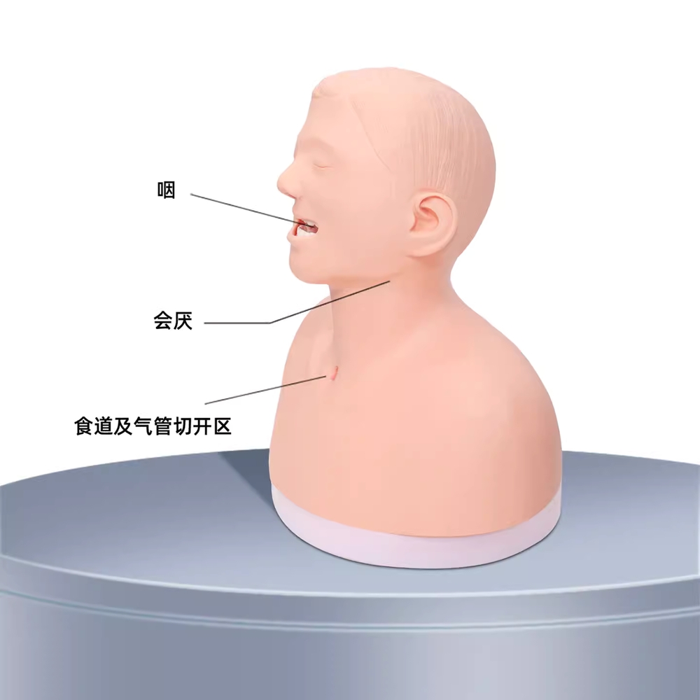 간호 실습 비강위관 가래 기관 용 훈련 산소관 소품 모형 - 상세 이미지 4