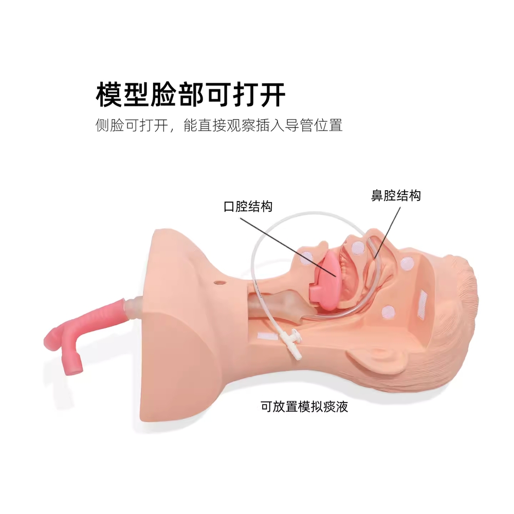 간호 실습 비강위관 가래 기관 용 훈련 산소관 소품 모형 - 상세 이미지 5