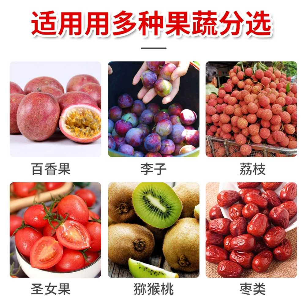 밤선별기 과일 대추 사과 과수용 열매 정선기 농기계 - 상세 이미지 5