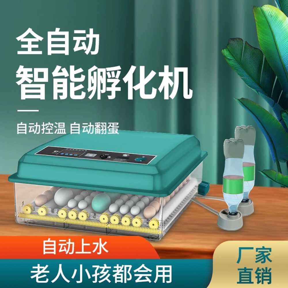 오리 부화기 메추라기 거위 자동 인큐베이터 48 단일 - 상세 이미지 2
